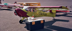 Baby Kitfox Model Kit