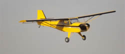 Baby Kitfox Model Kit